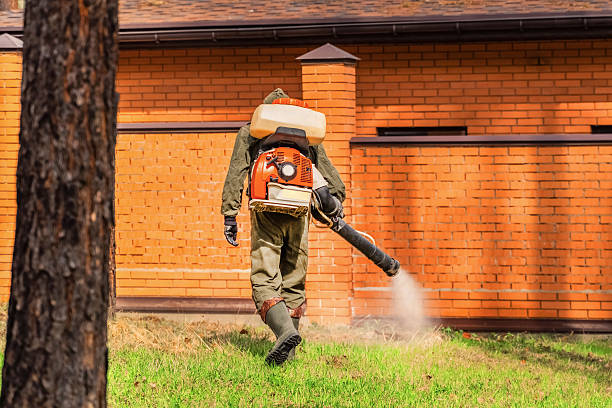 Bed Bug Clearance Verification and Documentation in Northlakes